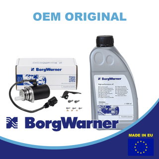 AWD 02W598549A  pump and oil kit for Haldex system BorgWarner pump filter and oil set 02W598549A AWD pump and high performance oil set for VW Transporter and Capmobil