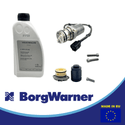 BorgWarner pump filter and oil set Generation 4th gen 0AY598549A Pump filter and Oil set for Haldex VW Audi Seat Skoda